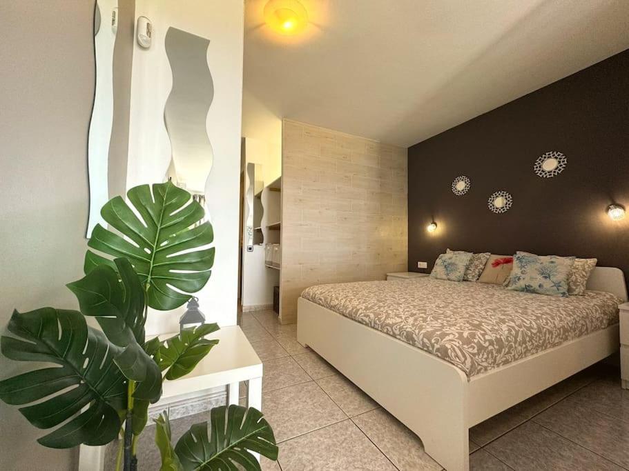 Palm Garden Apartment Morro Jable  Exterior foto